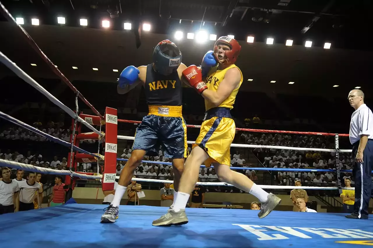 Os maiores torneios profissionais de boxe